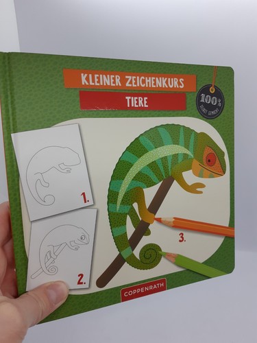 Tiere zeichnen lernen 7 - lernen, ab